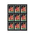 ONE-TOUCH 9-Card Black Border UV